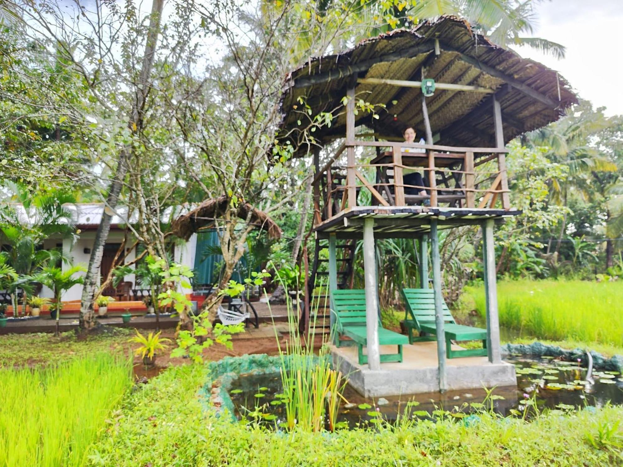 Lake Wind Habarana Luaran gambar